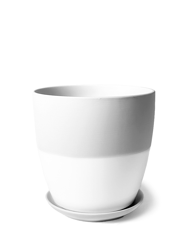 Dyad Porcelain Modern Indoor Plant Pot With Saucer - Chive US Wholesale