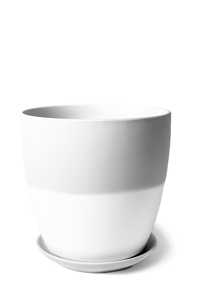 Dyad Porcelain Modern Indoor Plant Pot With Saucer - Chive US Wholesale