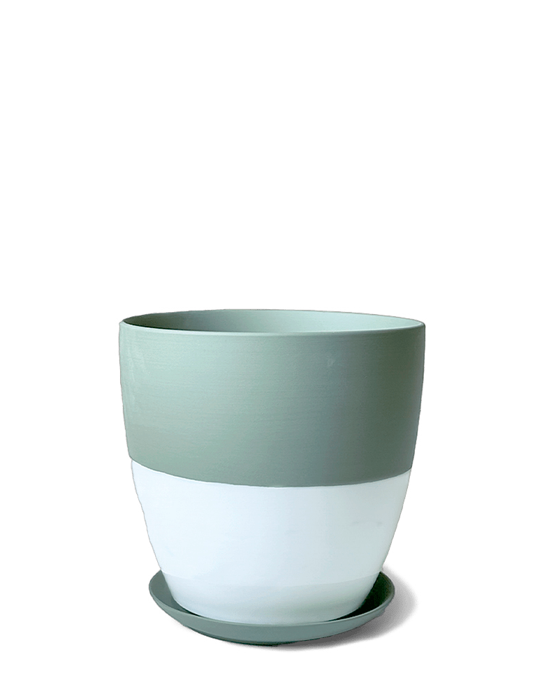 Dyad Porcelain Modern Indoor Plant Pot With Saucer - Chive US Wholesale