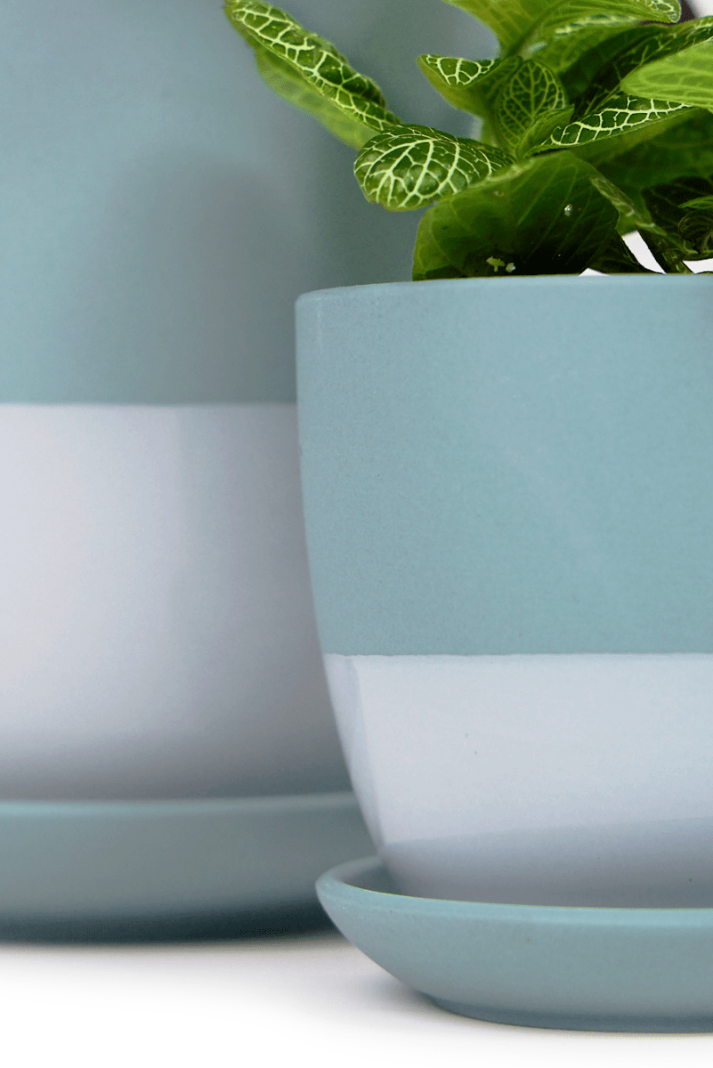 Dyad Porcelain Modern Indoor Plant Pot With Saucer - Chive US Wholesale