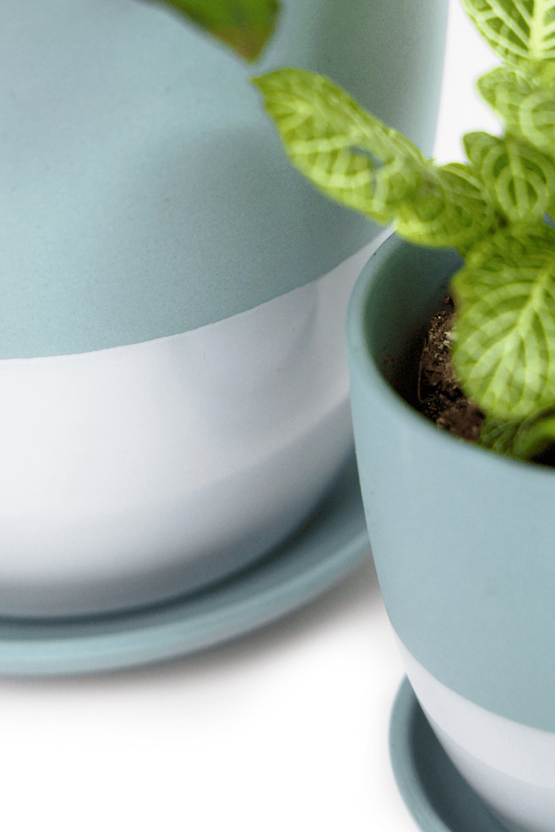 Dyad Porcelain Modern Indoor Plant Pot With Saucer - Chive US Wholesale