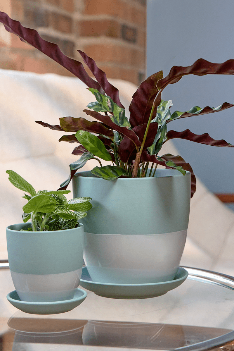 Dyad Porcelain Modern Indoor Plant Pot With Saucer - Chive US Wholesale