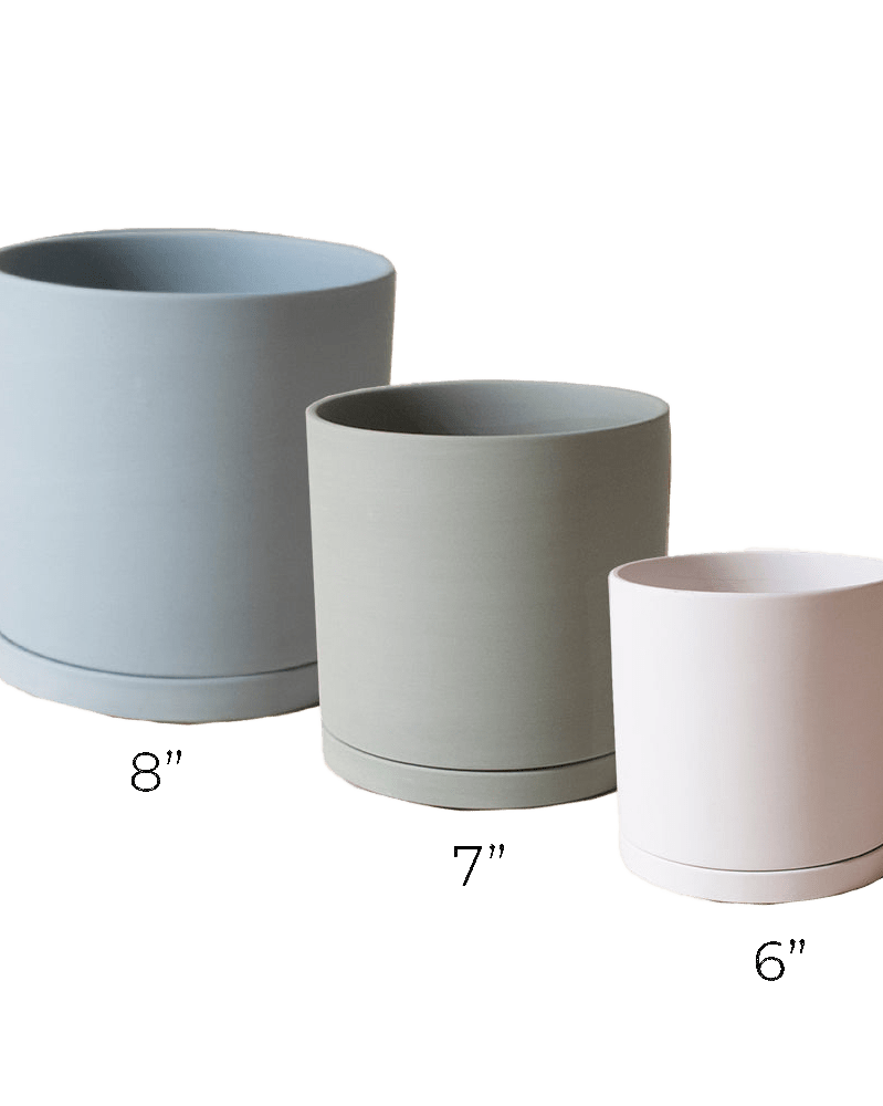 Dojo Porcelain Modern Indoor Plant Pot With Saucer Sets - Chive US Wholesale