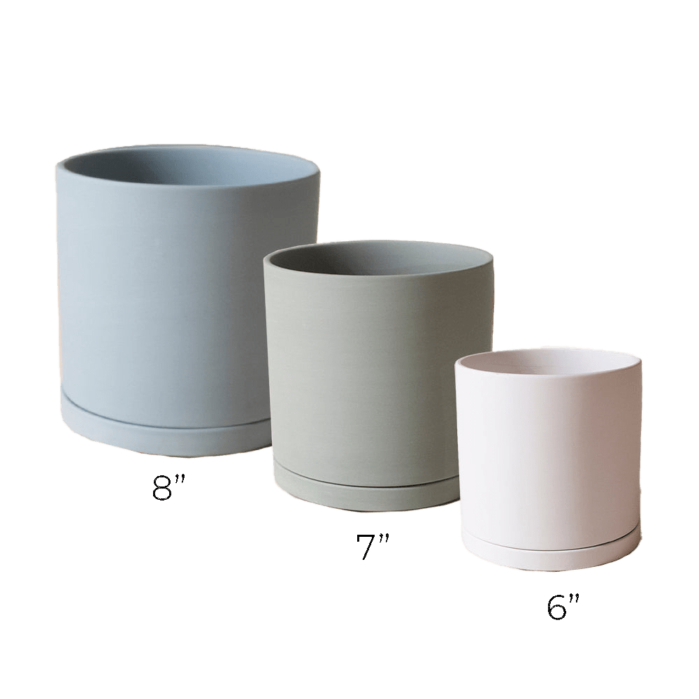 Dojo Porcelain Modern Indoor Plant Pot With Saucer Sets - Chive US Wholesale