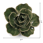 EG03 Fir Green Butterfly Ranunculus - Chive US Wholesale