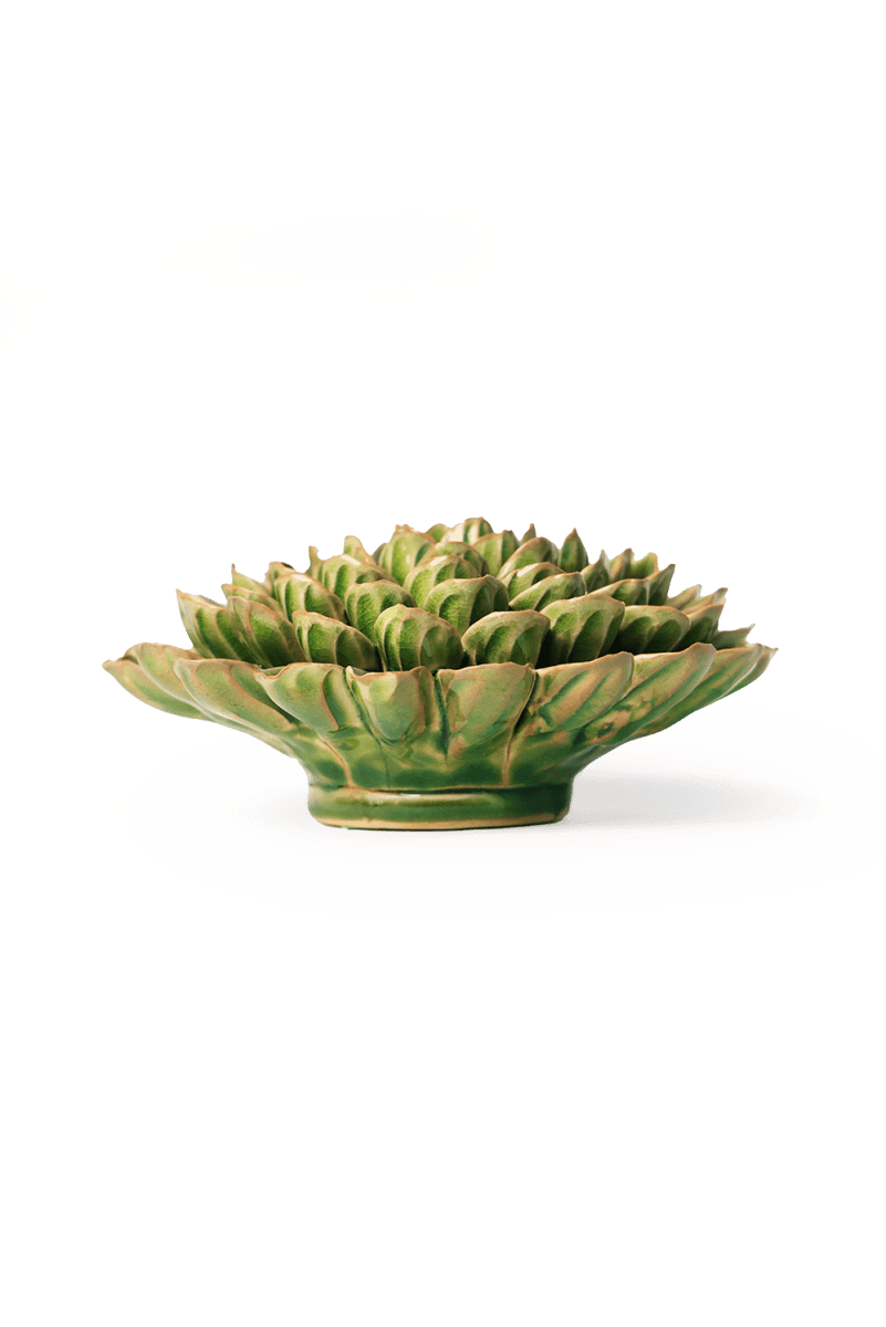 EG20 Avocado Green Unicorn Zinnia - Chive US Wholesale