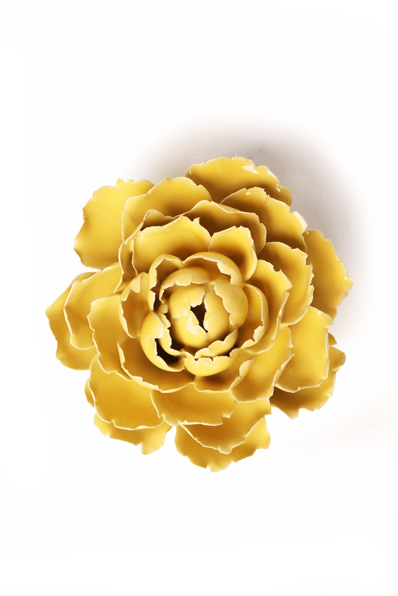 EG21 Buttercup Yellow Gay Paree Peony - Chive US Wholesale