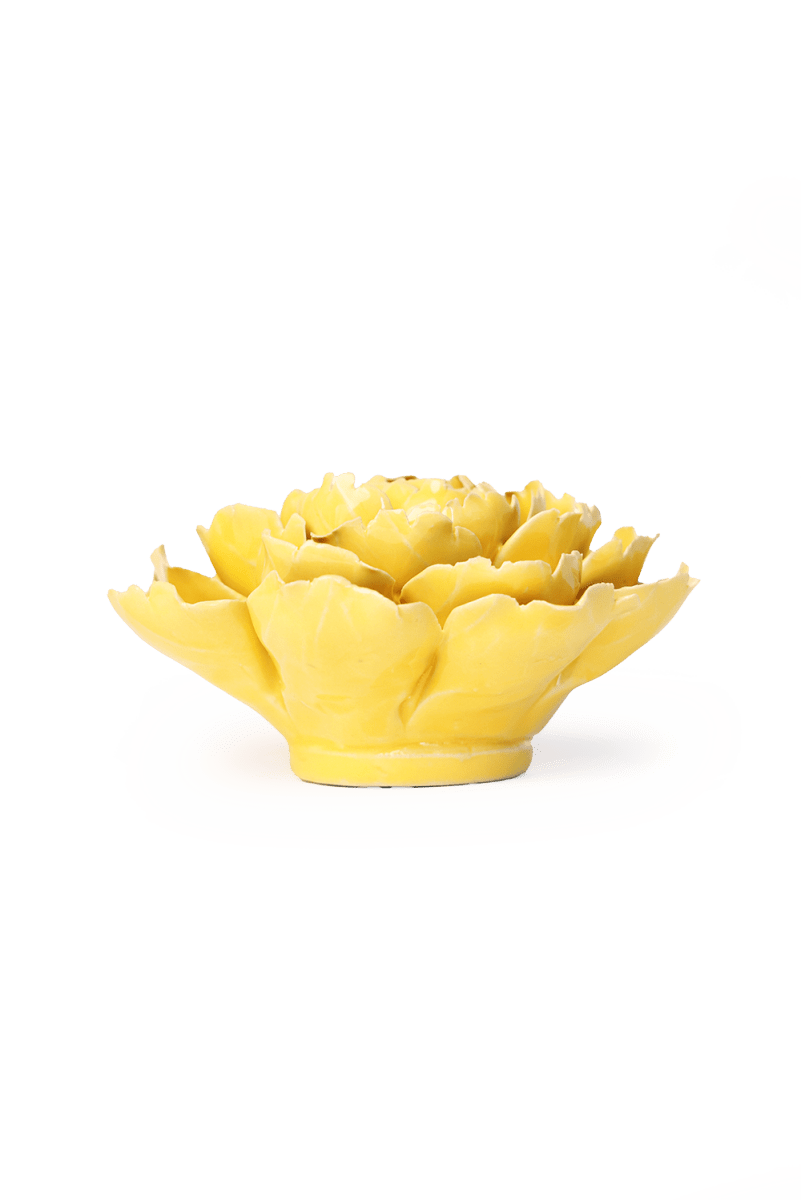 EG21 Buttercup Yellow Gay Paree Peony - Chive US Wholesale