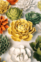 EG21 Buttercup Yellow Gay Paree Peony - Chive US Wholesale