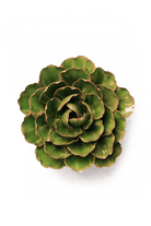 EG22 Avocado Green Keiko Peony - Chive US Wholesale