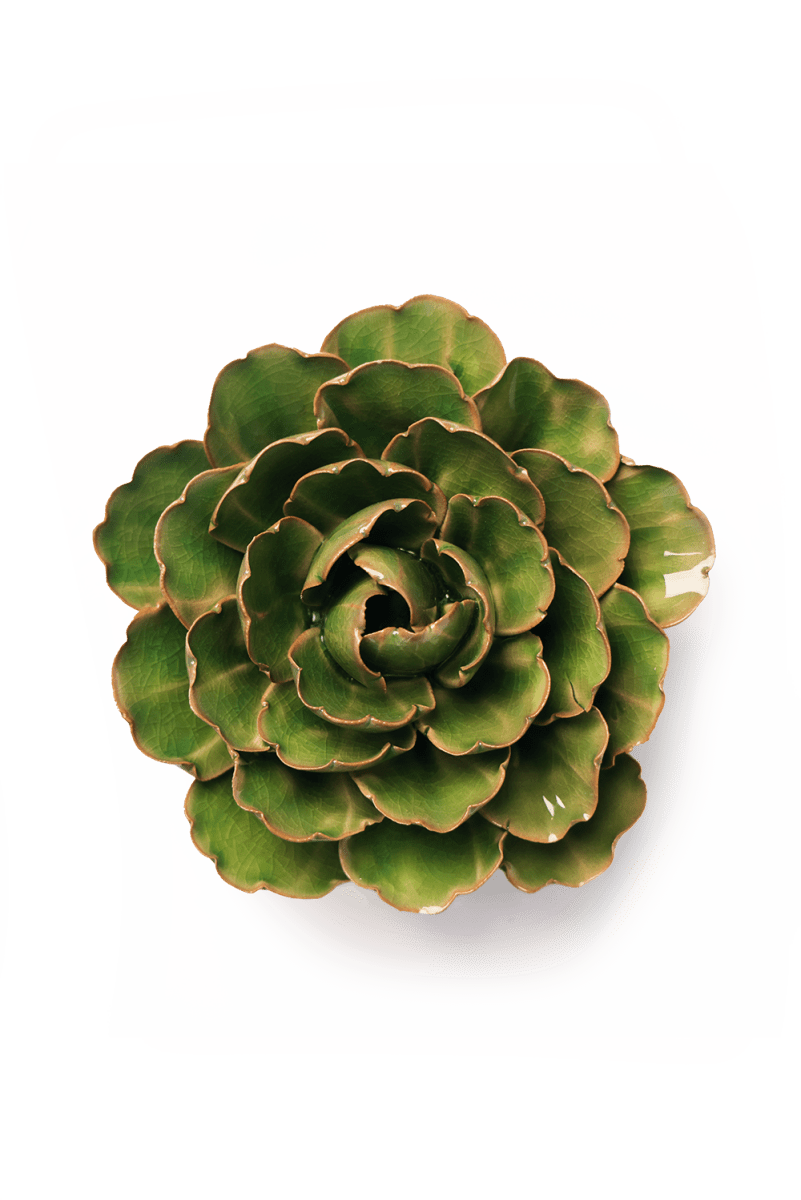 EG22 Avocado Green Keiko Peony - Chive US Wholesale