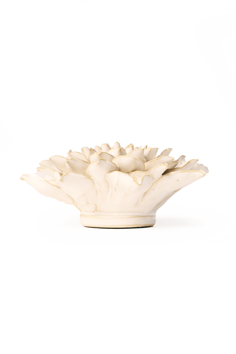 EG23 Ivory Autumn Azalea - Chive US Wholesale