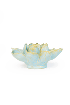 EG24 Robin's Egg Blue Aurora Water Lily - Chive US Wholesale