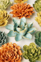 EG24 Robin's Egg Blue Aurora Water Lily - Chive US Wholesale