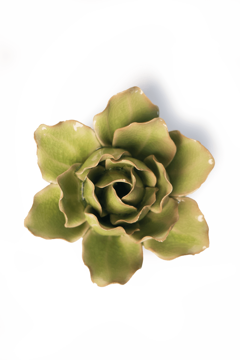 EG25 Peridot Stargazer Lily - Chive US Wholesale