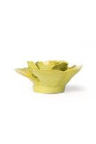 EG25 Peridot Stargazer Lily - Chive US Wholesale