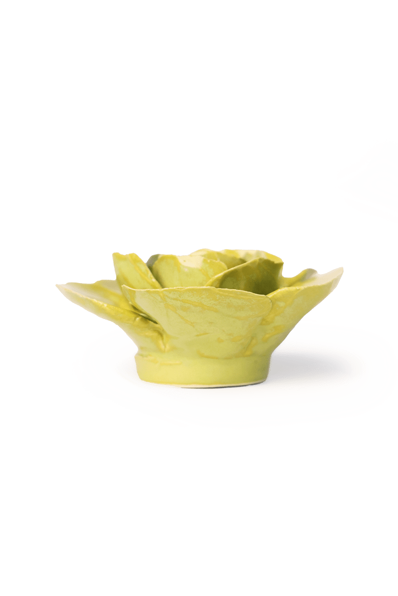 EG25 Peridot Stargazer Lily - Chive US Wholesale