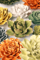 EG25 Peridot Stargazer Lily - Chive US Wholesale