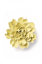 EG26 Lime Yellow Larkspur - Chive US Wholesale