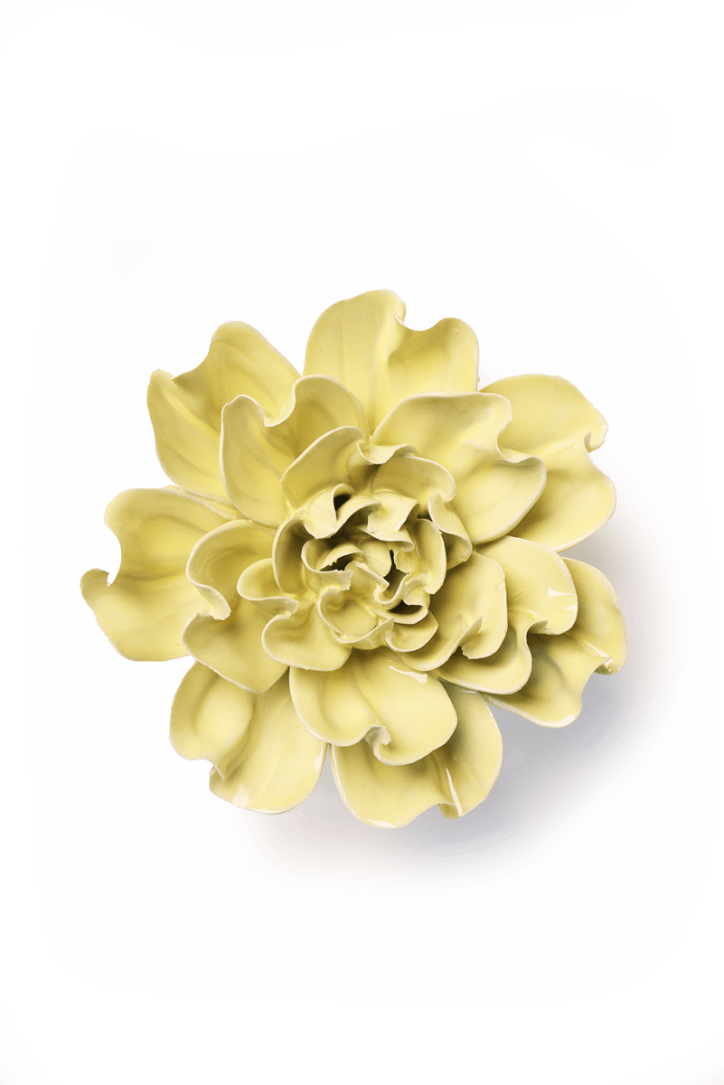 EG26 Lime Yellow Larkspur - Chive US Wholesale