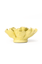 EG26 Lime Yellow Larkspur - Chive US Wholesale