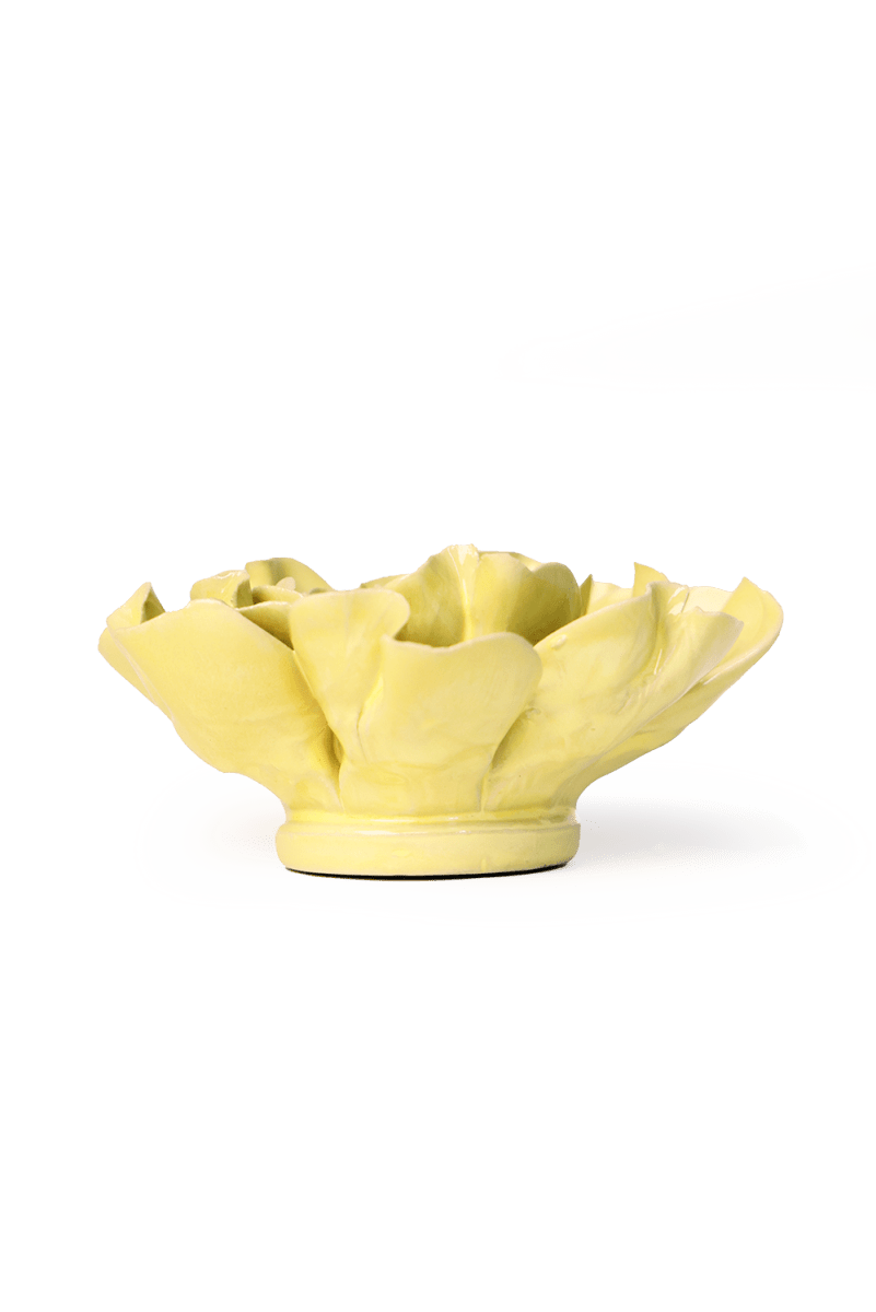 EG26 Lime Yellow Larkspur - Chive US Wholesale