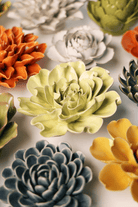 EG26 Lime Yellow Larkspur - Chive US Wholesale