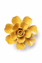 EG27 Burnt Yellow Tahitian Gardenia - Chive US Wholesale