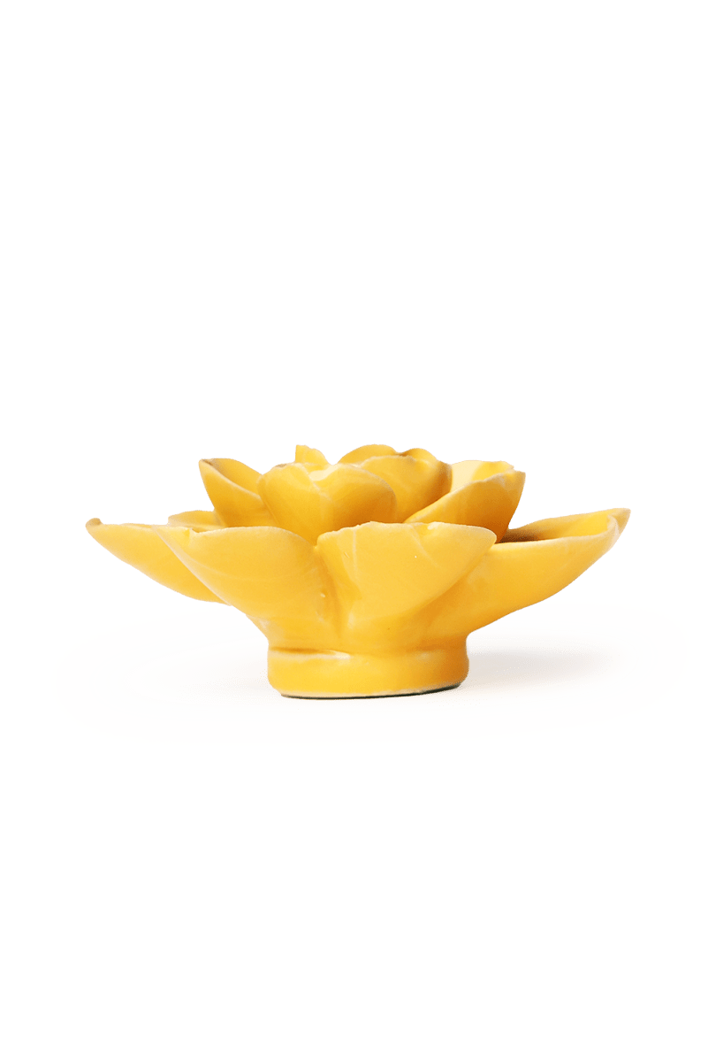 EG27 Burnt Yellow Tahitian Gardenia - Chive US Wholesale