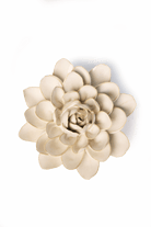 EG28 Ivory Snowdrop - Chive US Wholesale