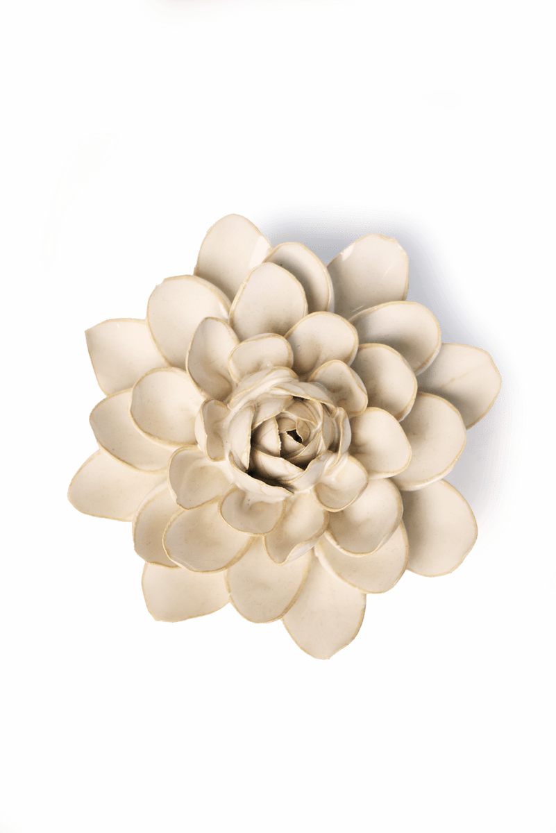 EG28 Ivory Snowdrop - Chive US Wholesale