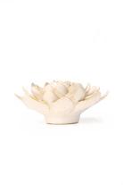 EG28 Ivory Snowdrop - Chive US Wholesale