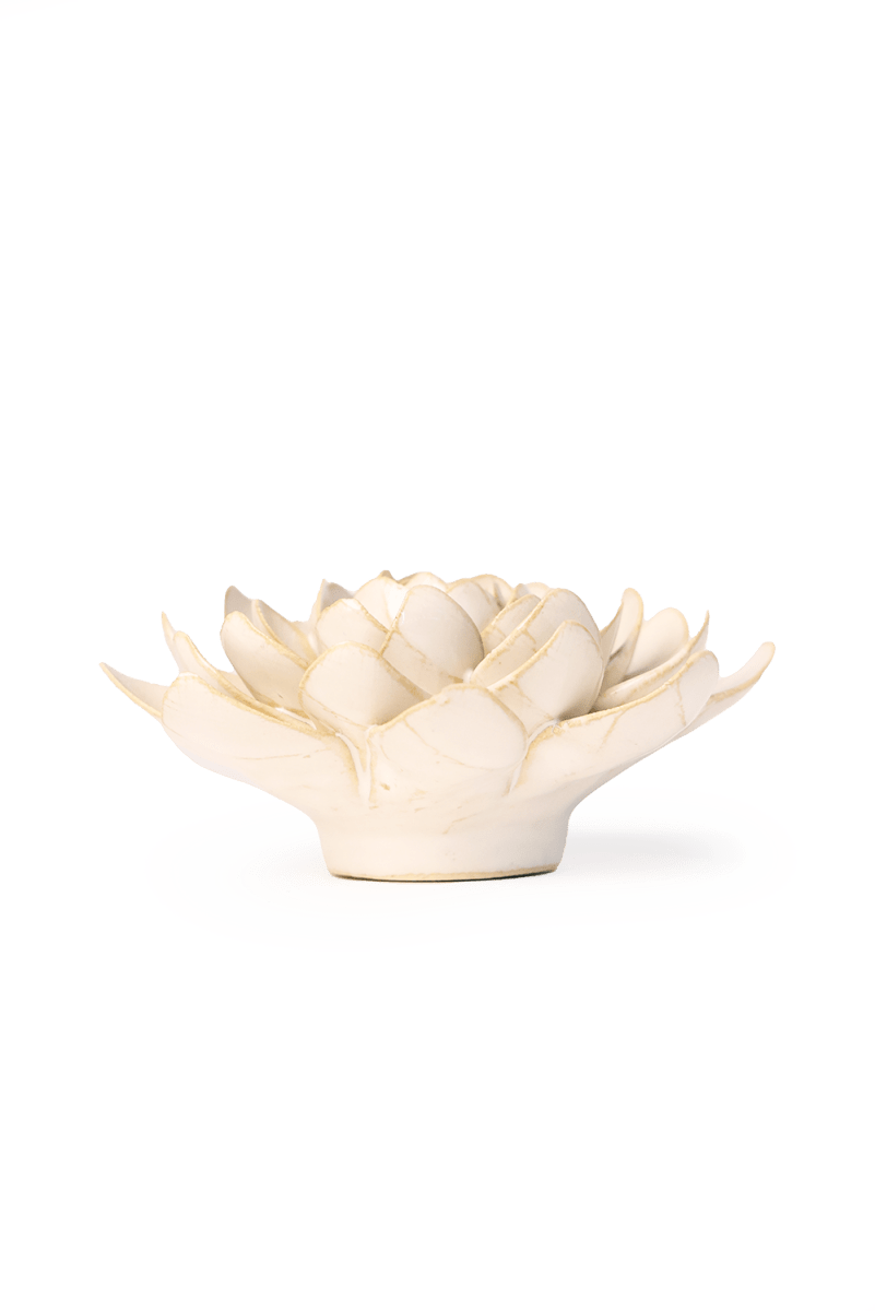 EG28 Ivory Snowdrop - Chive US Wholesale