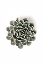 EG29 Pewter Blue Zinderella Zinnia - Chive US Wholesale