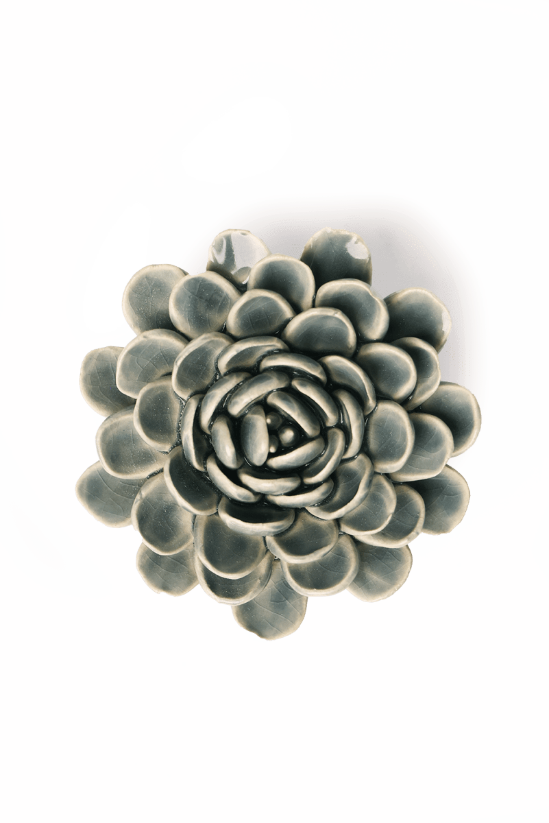 EG29 Pewter Blue Zinderella Zinnia - Chive US Wholesale