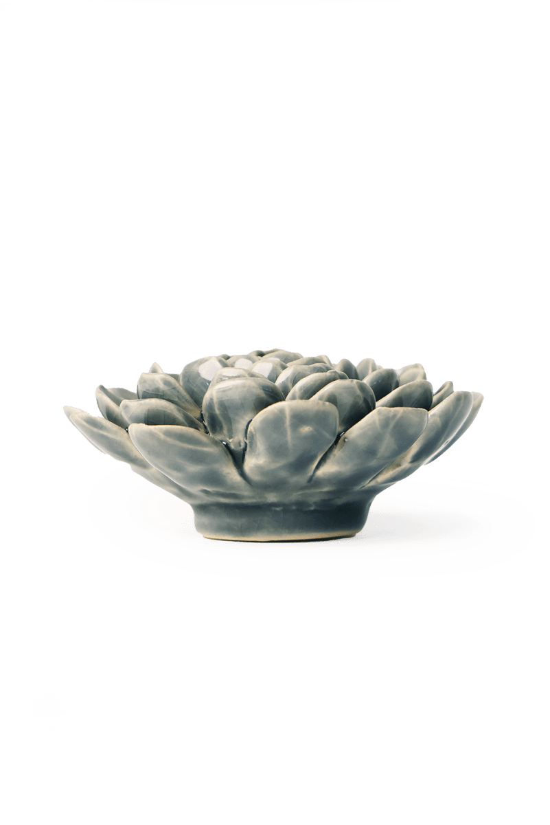 EG29 Pewter Blue Zinderella Zinnia - Chive US Wholesale