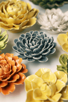 EG29 Pewter Blue Zinderella Zinnia - Chive US Wholesale