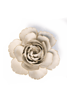 EG31 Ivory English Rose - Chive US Wholesale