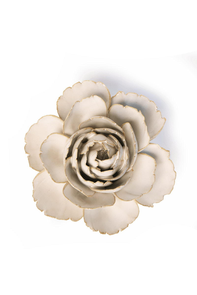 EG31 Ivory English Rose - Chive US Wholesale