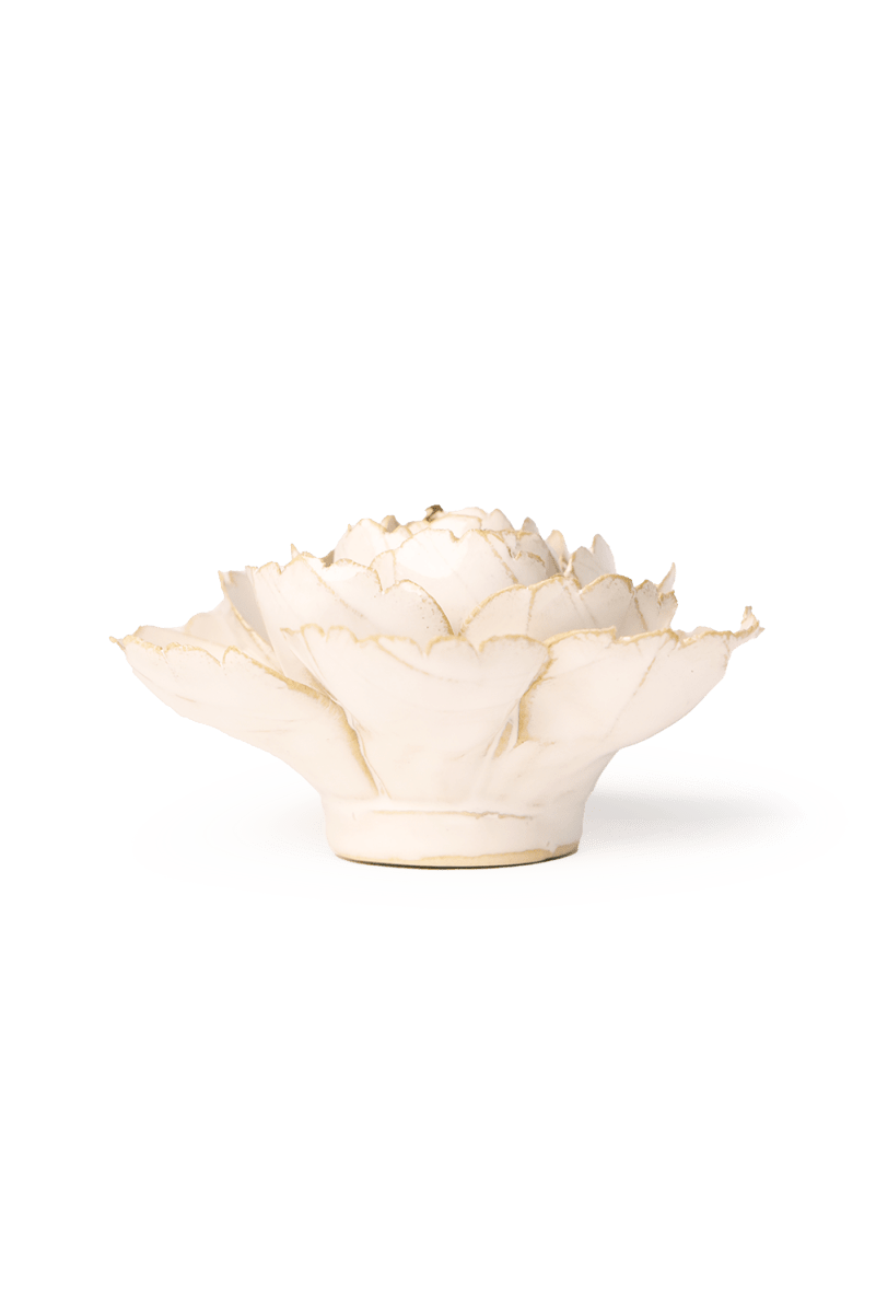 EG31 Ivory English Rose - Chive US Wholesale