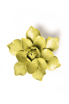 EG32 Chartreuse Columbine - Chive US Wholesale