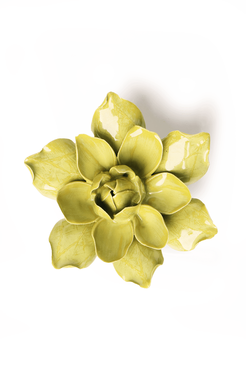 EG32 Chartreuse Columbine - Chive US Wholesale