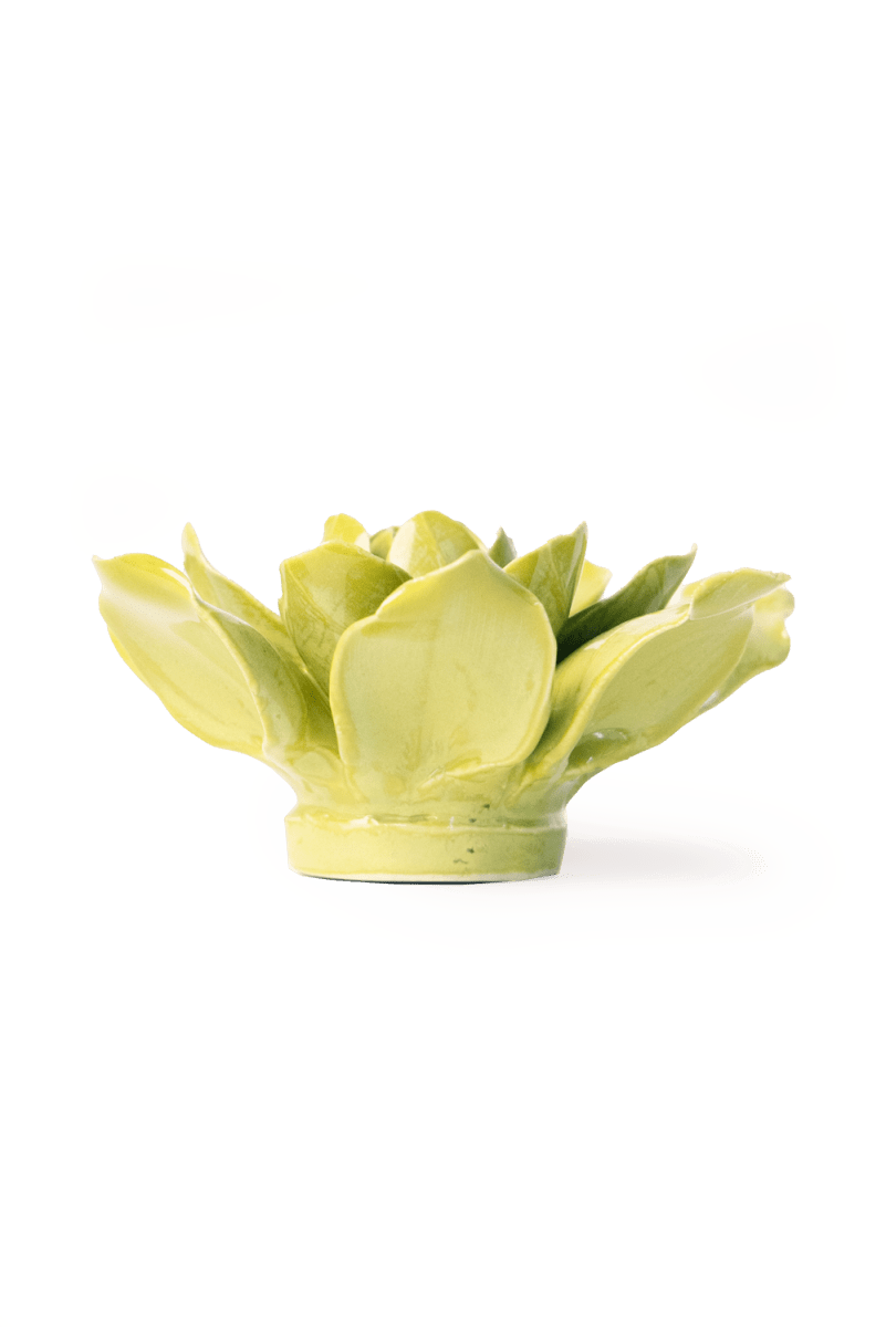 EG32 Chartreuse Columbine - Chive US Wholesale