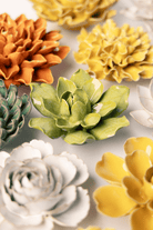 EG32 Chartreuse Columbine - Chive US Wholesale