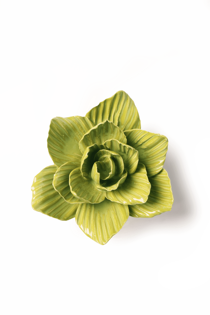 EG33 Chartreuse Gladiolus - Chive US Wholesale