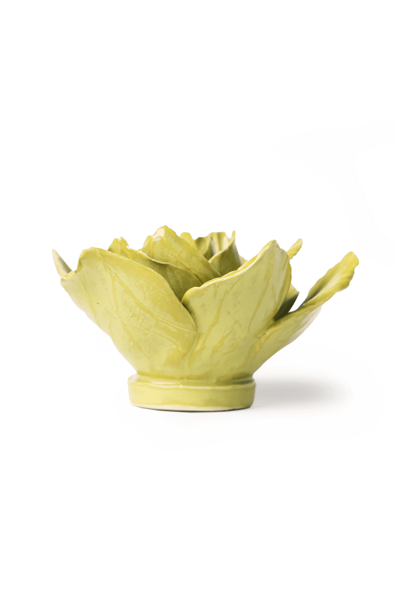 EG33 Chartreuse Gladiolus - Chive US Wholesale