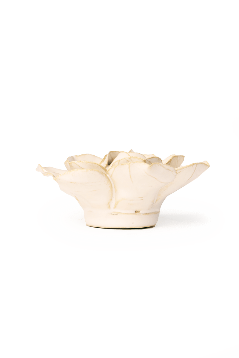 EG34 Ivory Daffodil - Chive US Wholesale