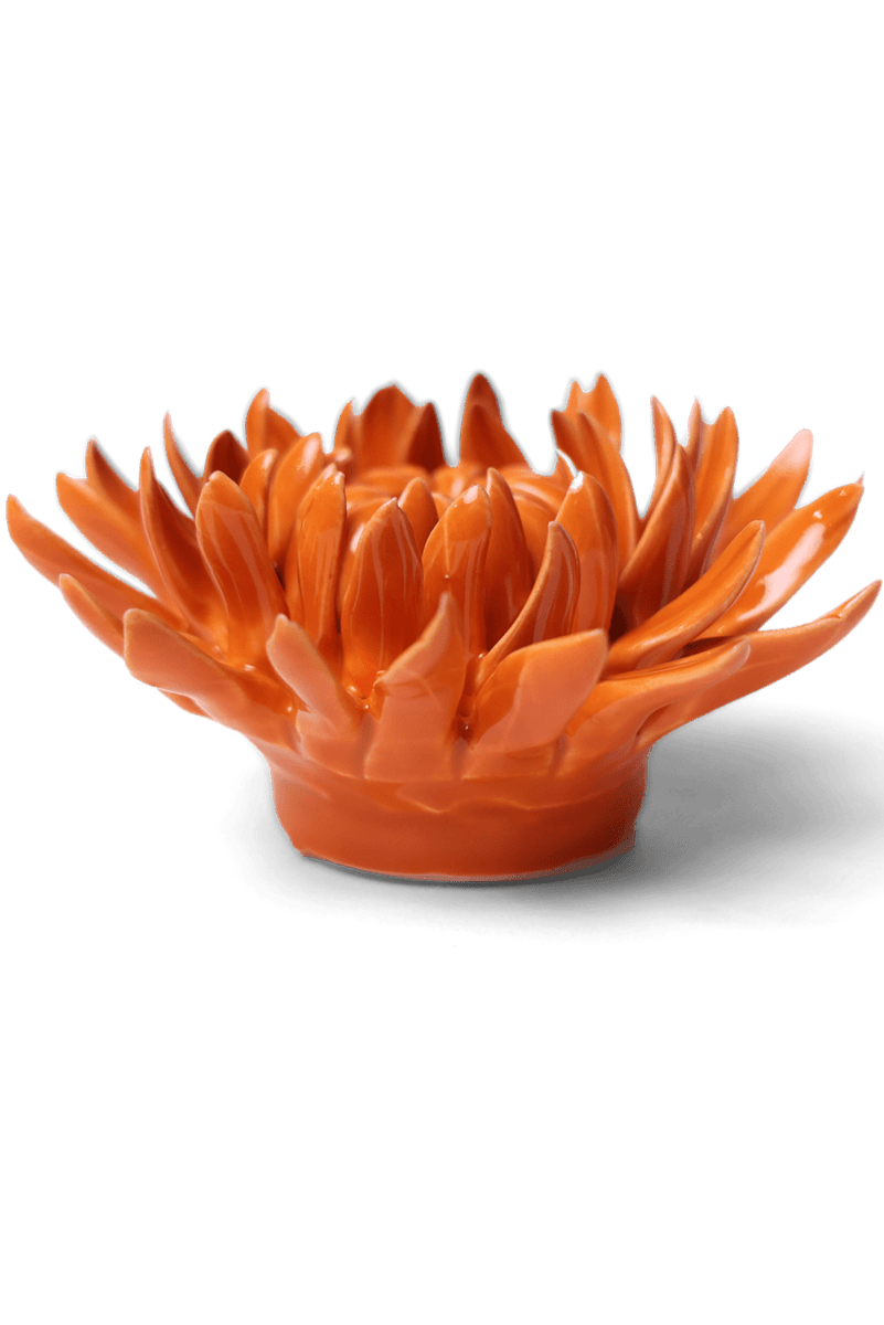 EG35 Orange Sarah Mum - Chive US Wholesale