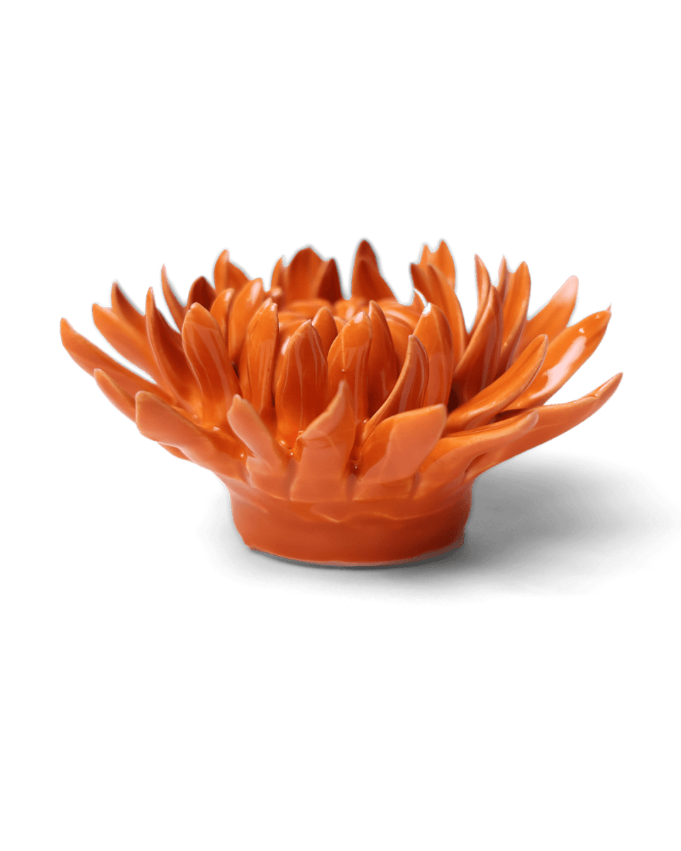 EG35 Orange Sarah Mum - Chive US Wholesale