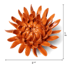 English Garden 35 Orange Sarah Mum - Chive US Wholesale